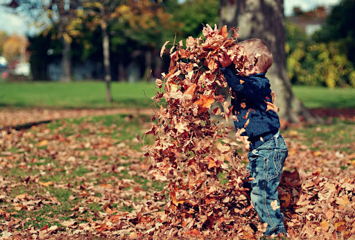 Fall Activities & Outdoor Adventures Families Love