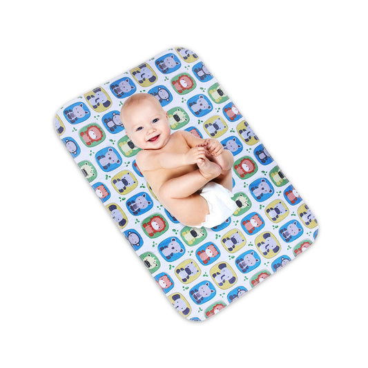 Lessy-Messy-New-Images-US-Animal1